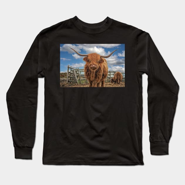 Hairy Highland Cow Long Sleeve T-Shirt by dalekincaid